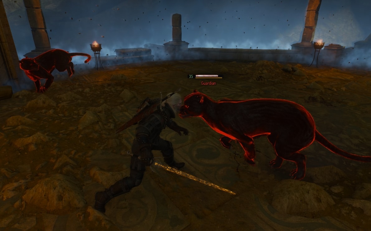 Geralt fighting the Guardians in the ruins