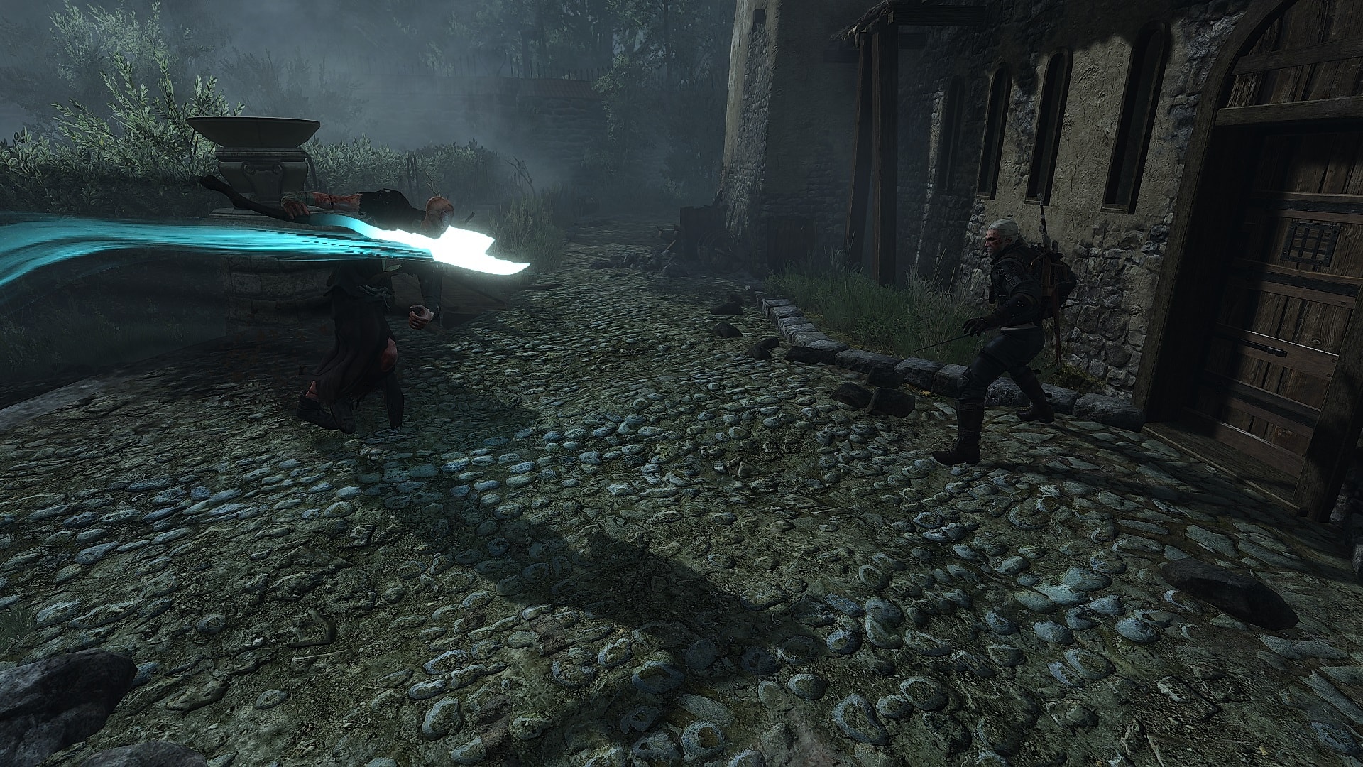 How to defeat The Caretaker in The Witcher 3 - Special attack