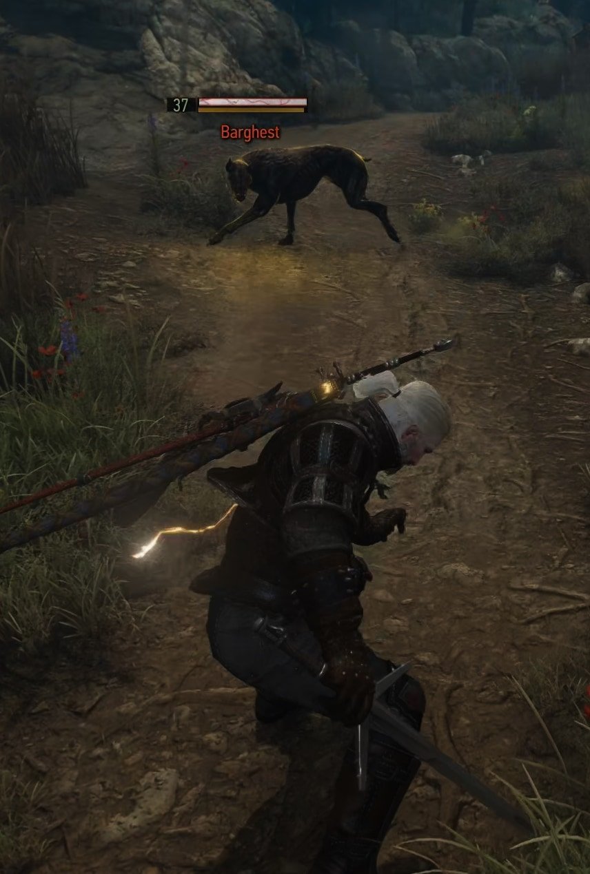 Fighting a Barghest