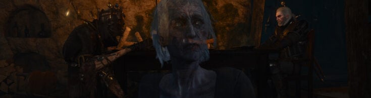 The Witcher 3 La Cage au Fou Guide How to save the Wight Featured