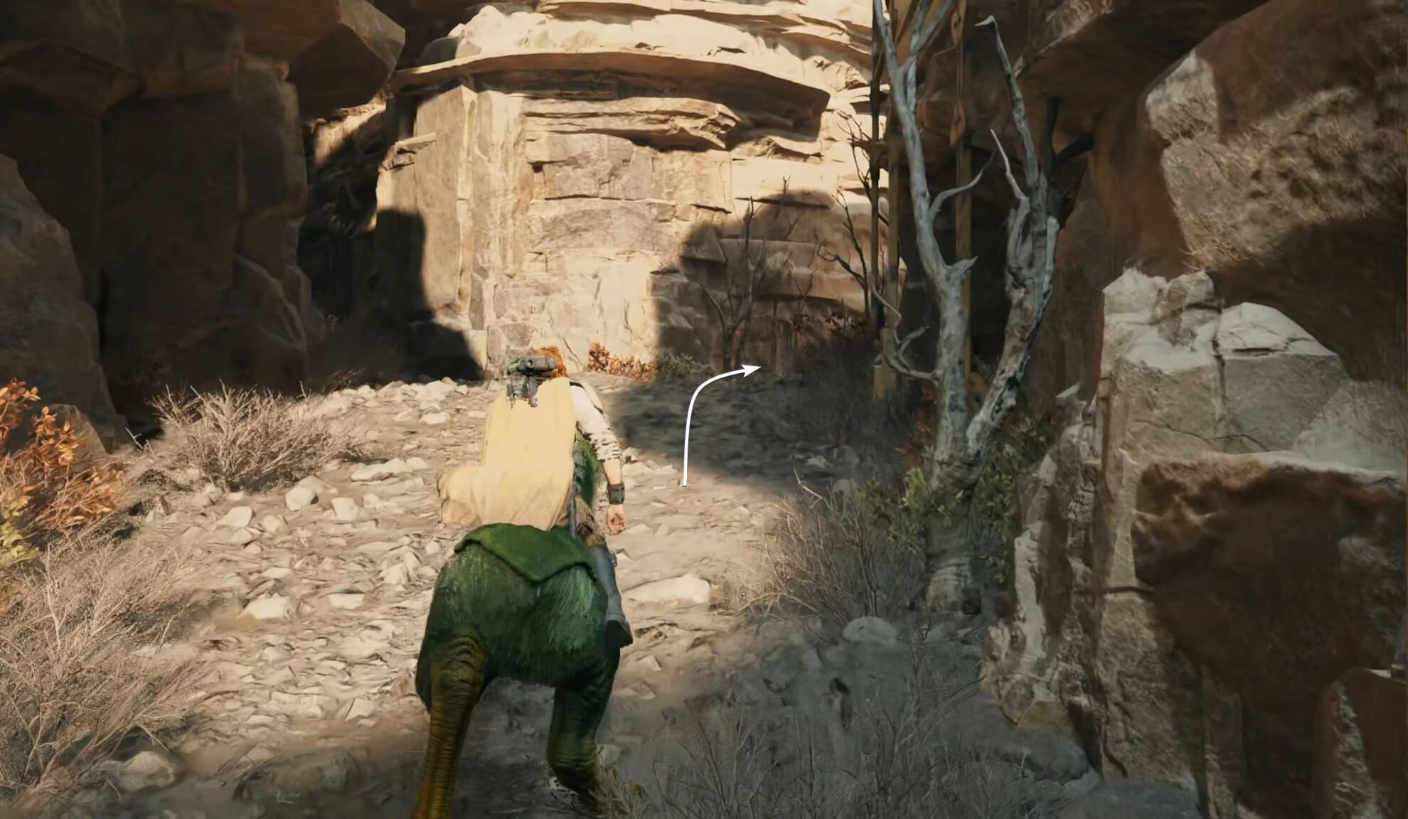 How to find the Abandoned Shack - turn right