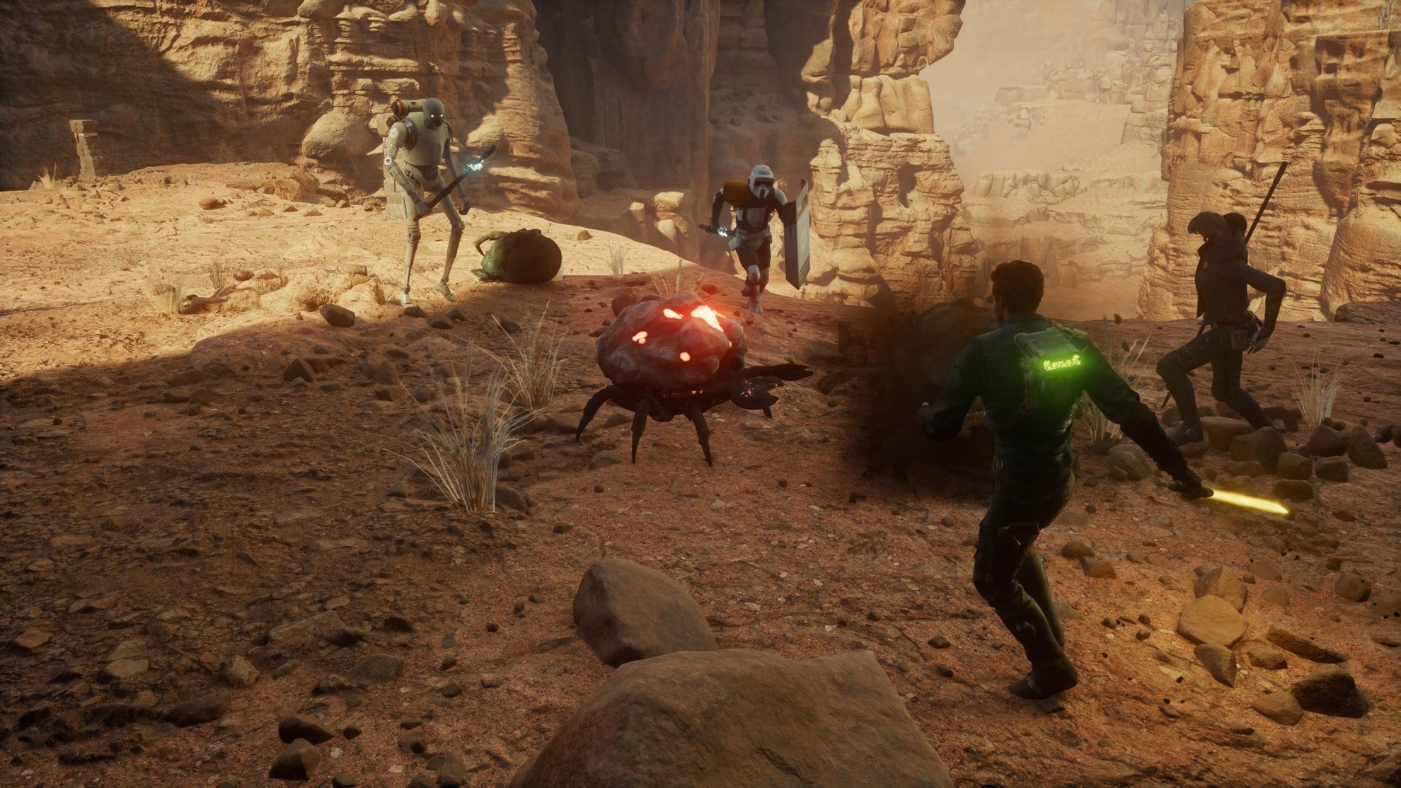Be careful of the Hardshells with the rocks on their back