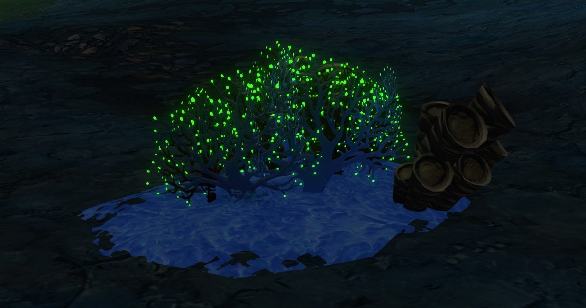 Fungal Sample
