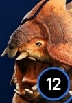 Bilemaw