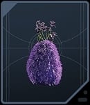 Blueball Squish - Rare Purple