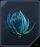 Cactus Ball - Alderaanian Blue