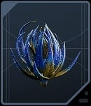 Cactus Ball - Rare