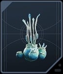 Crimson Jelly Spire - Alderaanian Blue