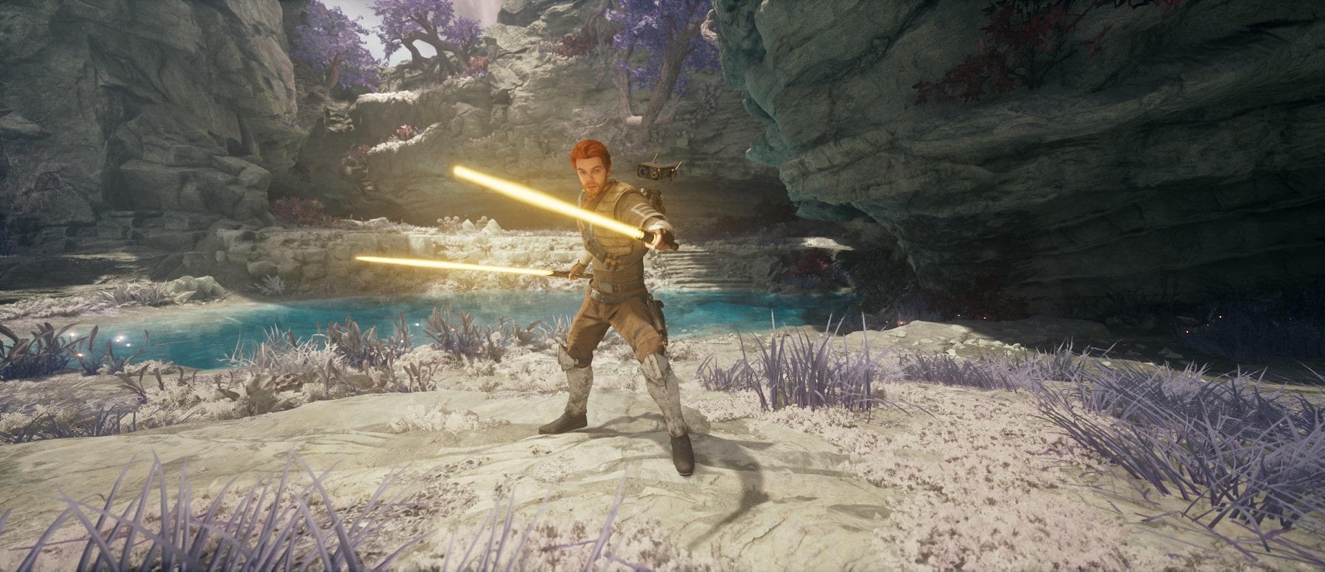 Dual Wield Stance