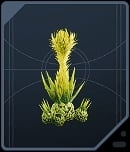 Fire Pineapple - Felucian Yellow
