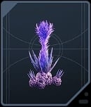 Fire Pineapple - Rare