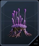 Goldenlight Moss - Rare