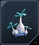 Palm Fruit Shell - Alderaanian Blue
