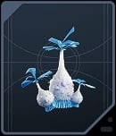 Palm Fruit Shell - Rare