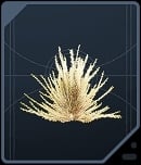 Pine Fern - Felucian Yellow