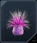 Spine Fluff - Rare Purple