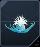 Tuber Maw - Alderaanian Blue