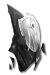Diablo 4 Aspect Shield Icon