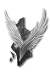 Diablo 4 Aspect Wings Icon