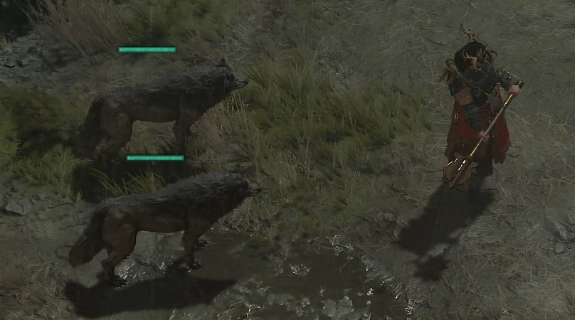Druid Wolves Skill