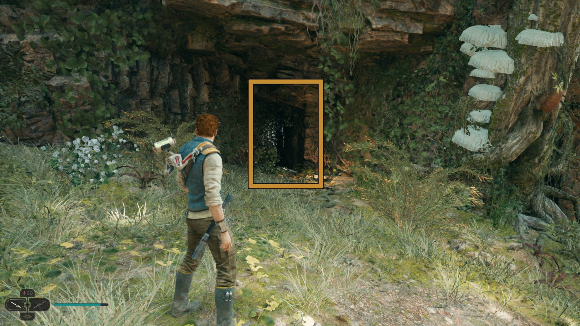 Fortification Perk area entrance on Koboh