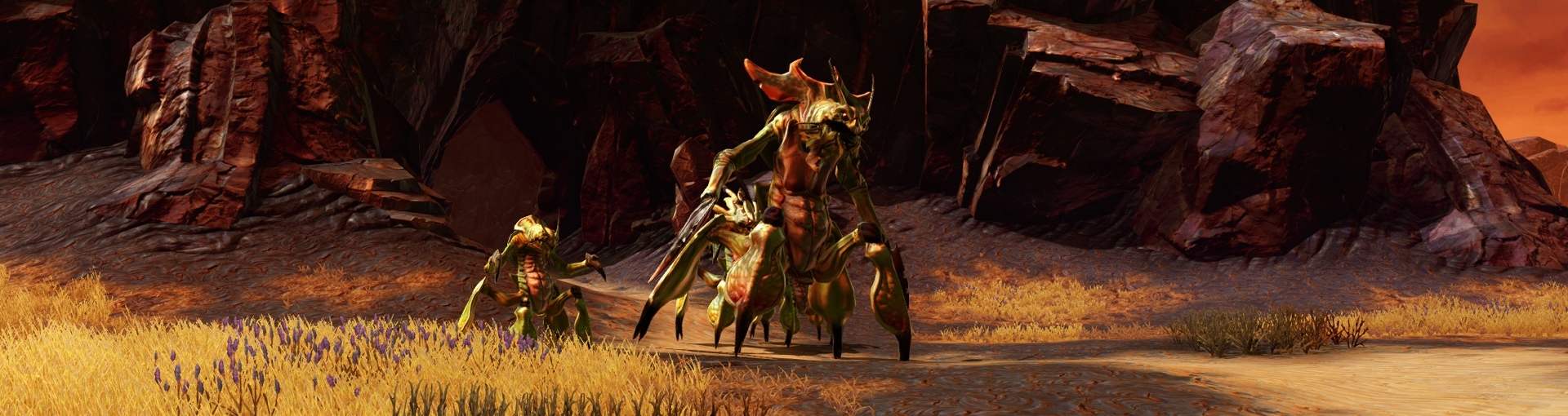 Colicoids' appearance in Star Wars The Old Republic
