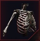 Epimorphic Skeleton