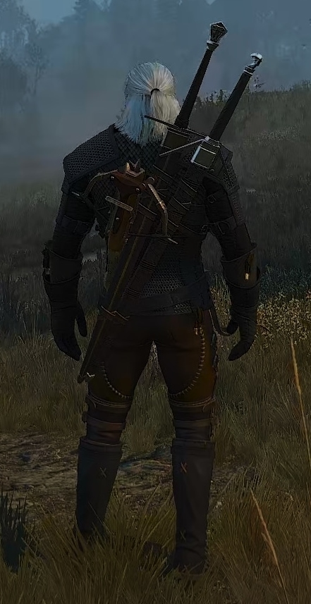 Viper School Witcher Gear Set Back