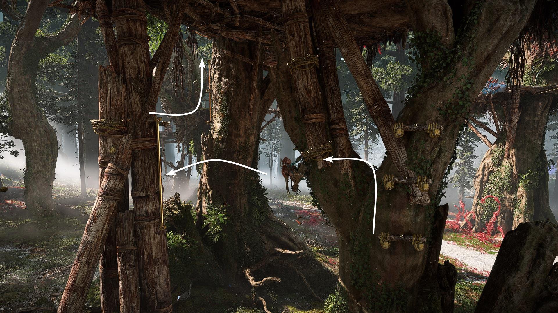 The Stand of the Sentinels Tallneck climb the trees