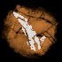 Scorcher Scanning Ear Icon