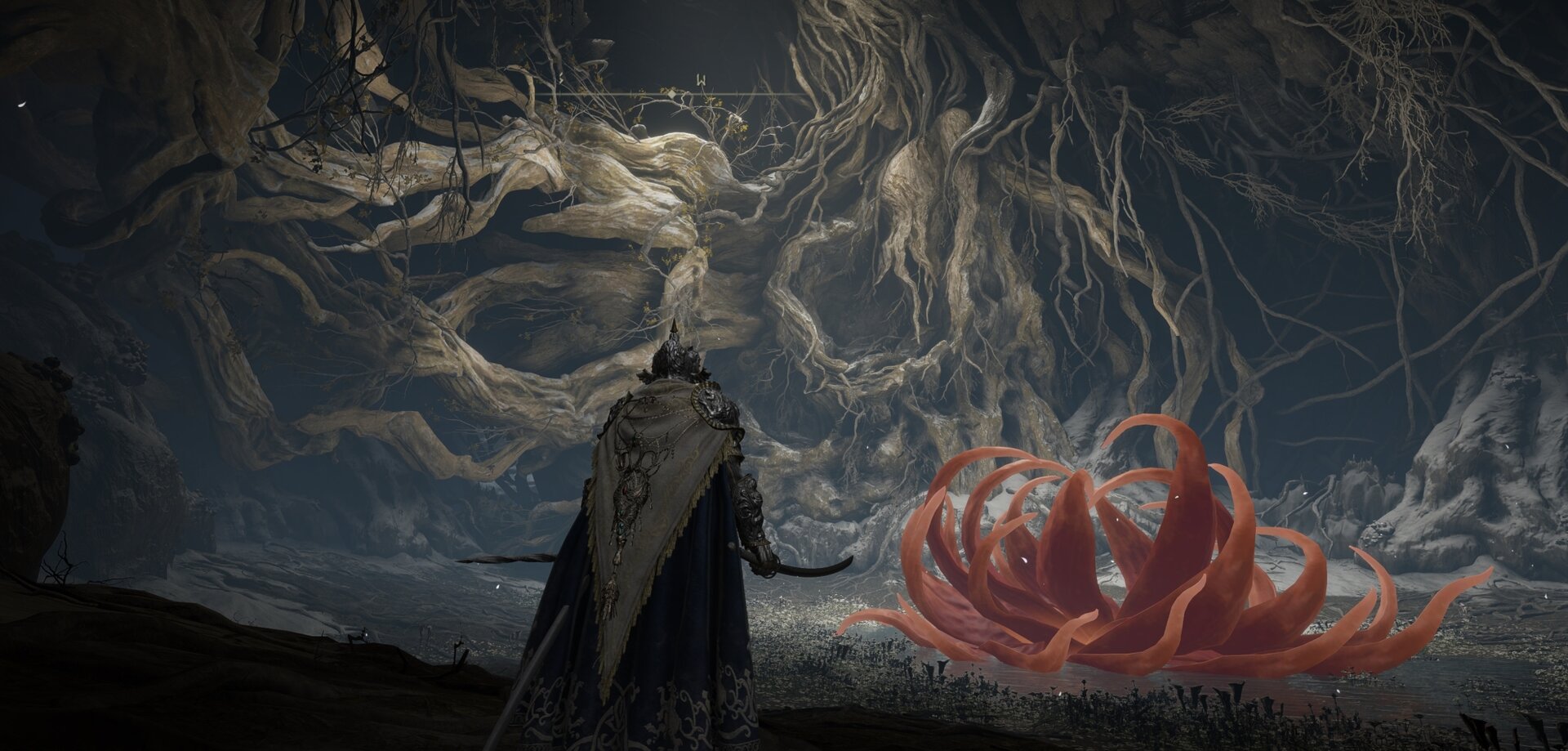 Return the Needle to Malenia