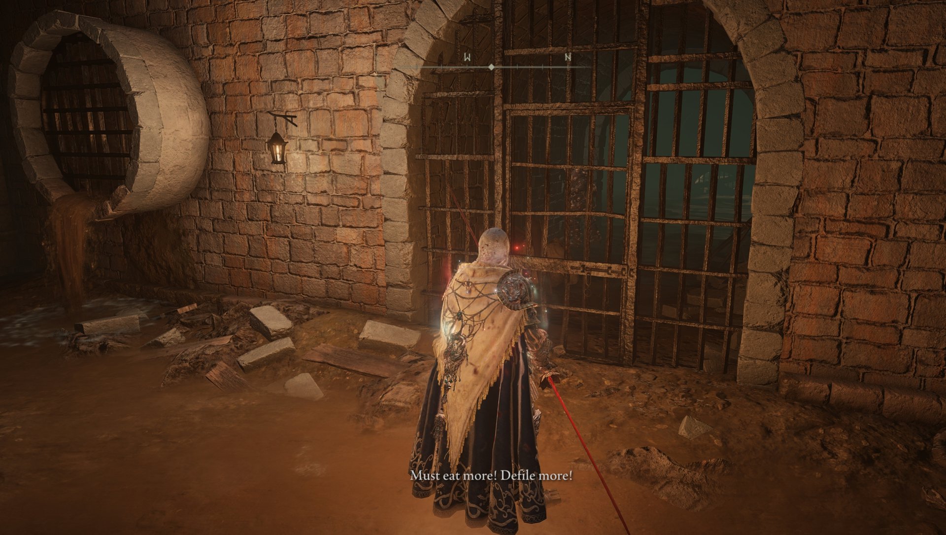 Releasing the Dung Eater