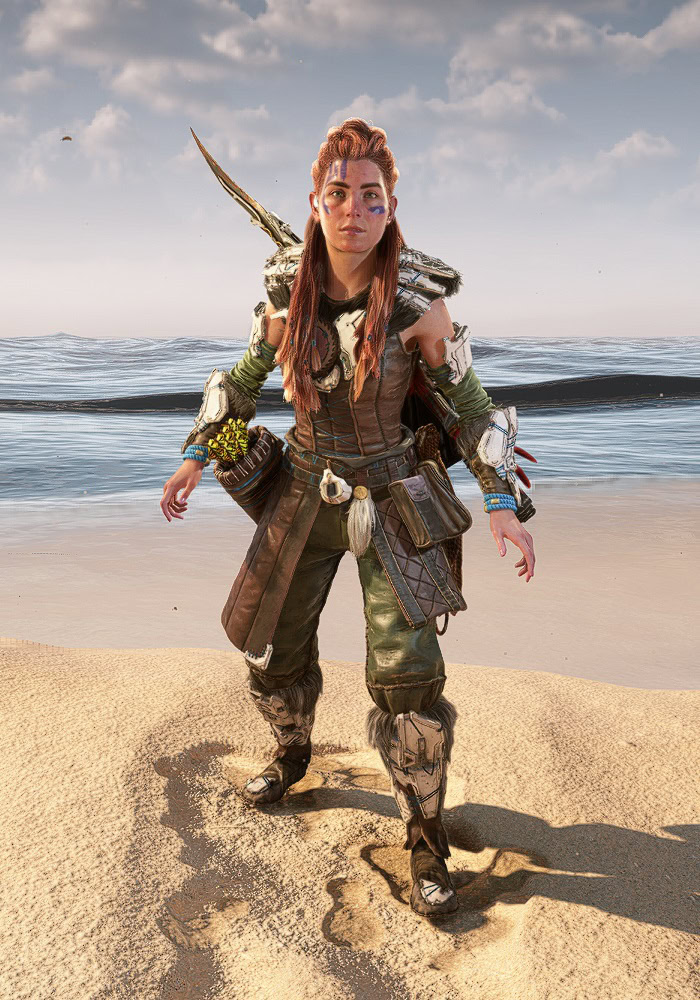 Horizon Forbidden West Outfits Catalog - Nora Valiant Front