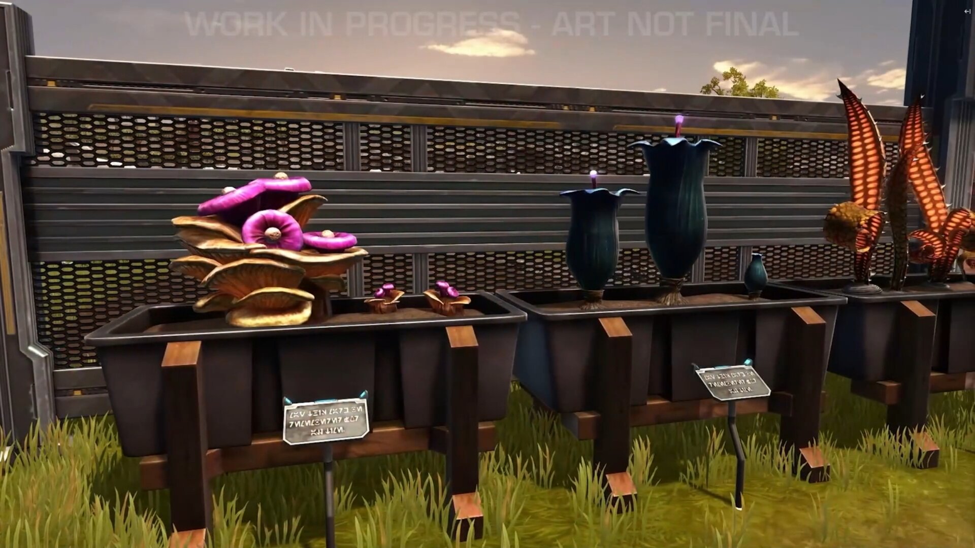 Dantooine Spring Abundance Festival Event