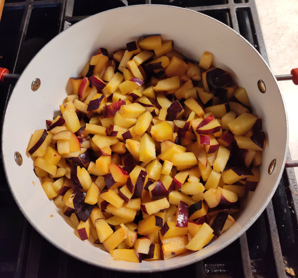 Raw plum chunks