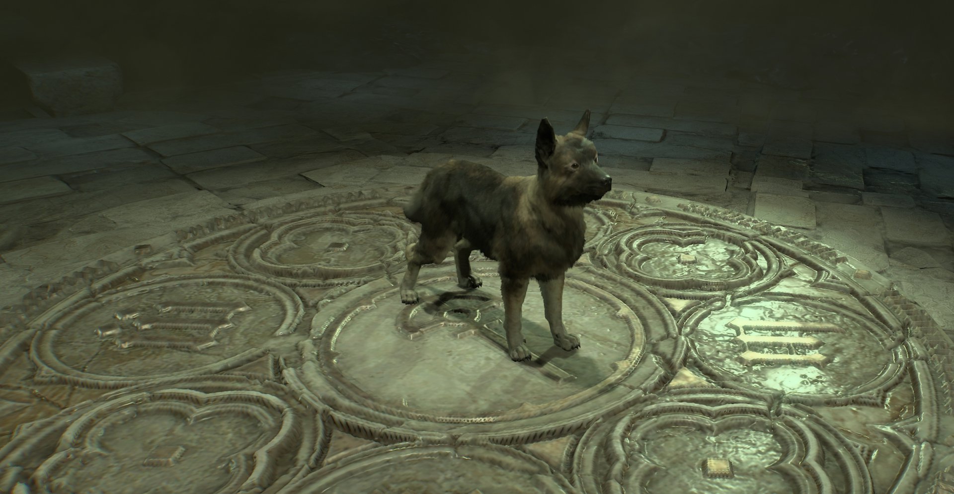 Diablo-4-Pets-Asheara-Free-Pet
