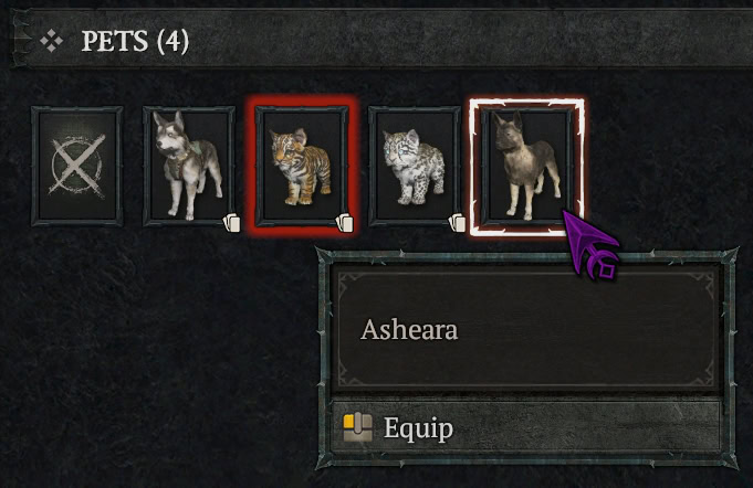 Diablo-4-Pets-Equipping-Pets