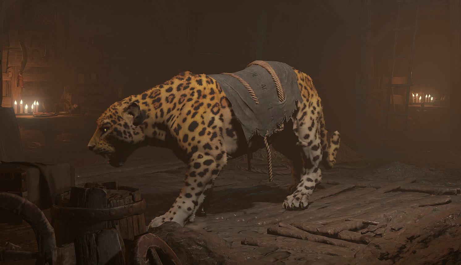 Nahantu War-Cat