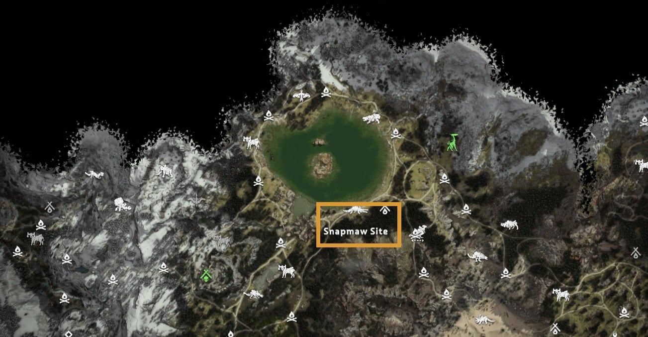 Snapmaws Location 1