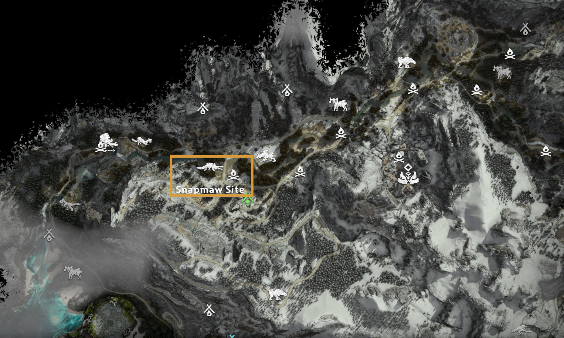 Snapmaws Location 2