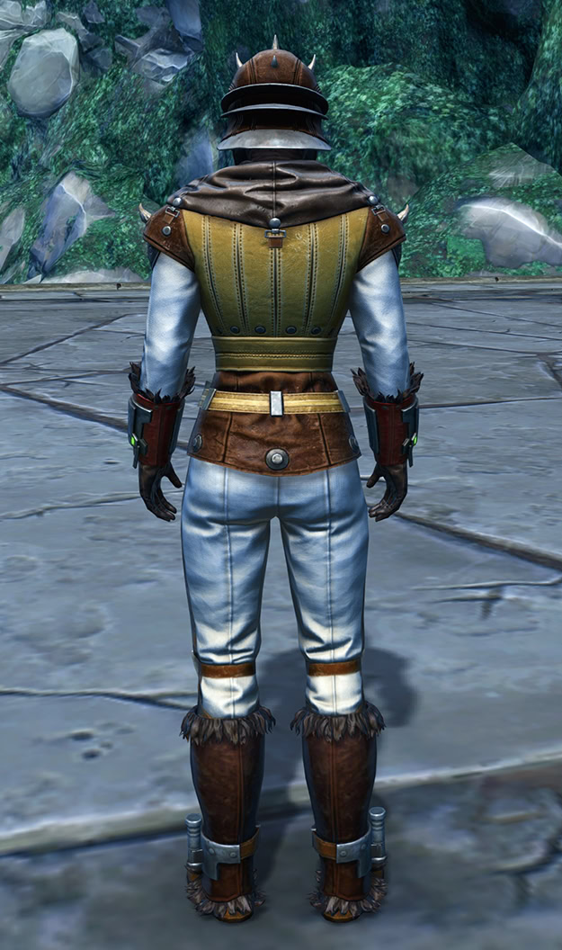 Superior Hunter armor set - Back