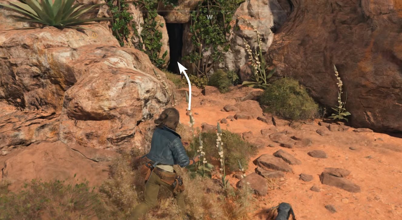 Smuggler Cache 39 Cave Entrace