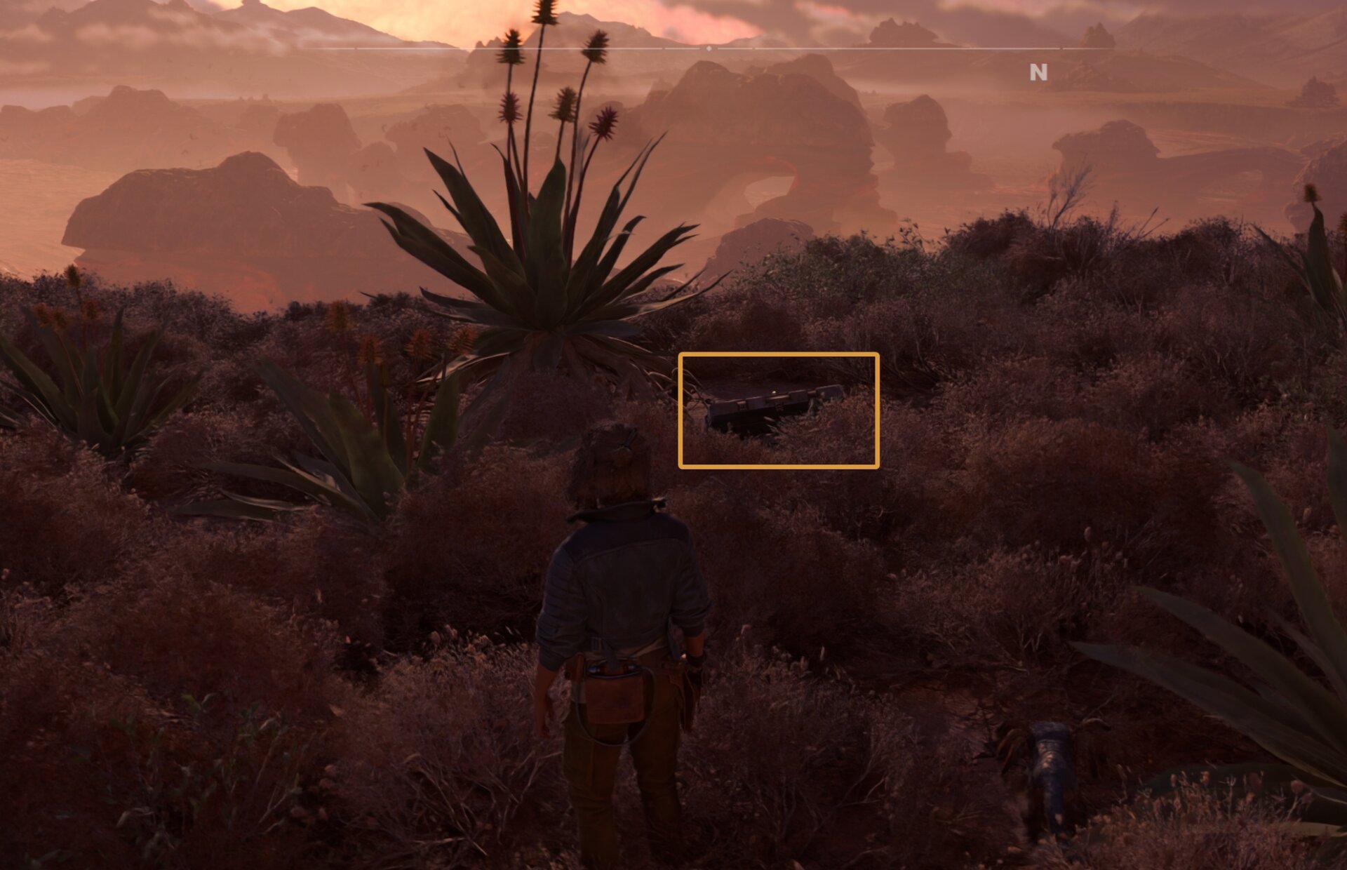 Smuggler Cache 54 Location