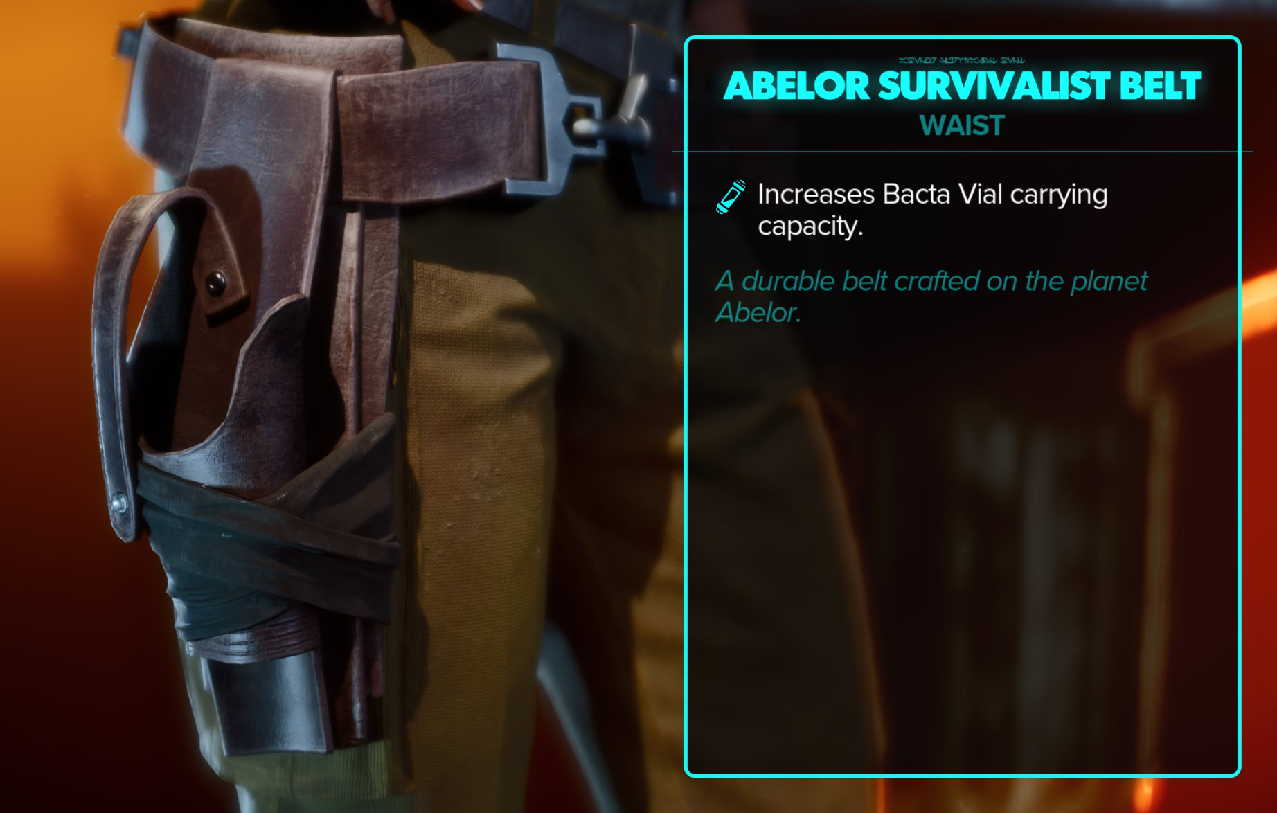 Abelor Survivalist Stats and Close-ups = Belt