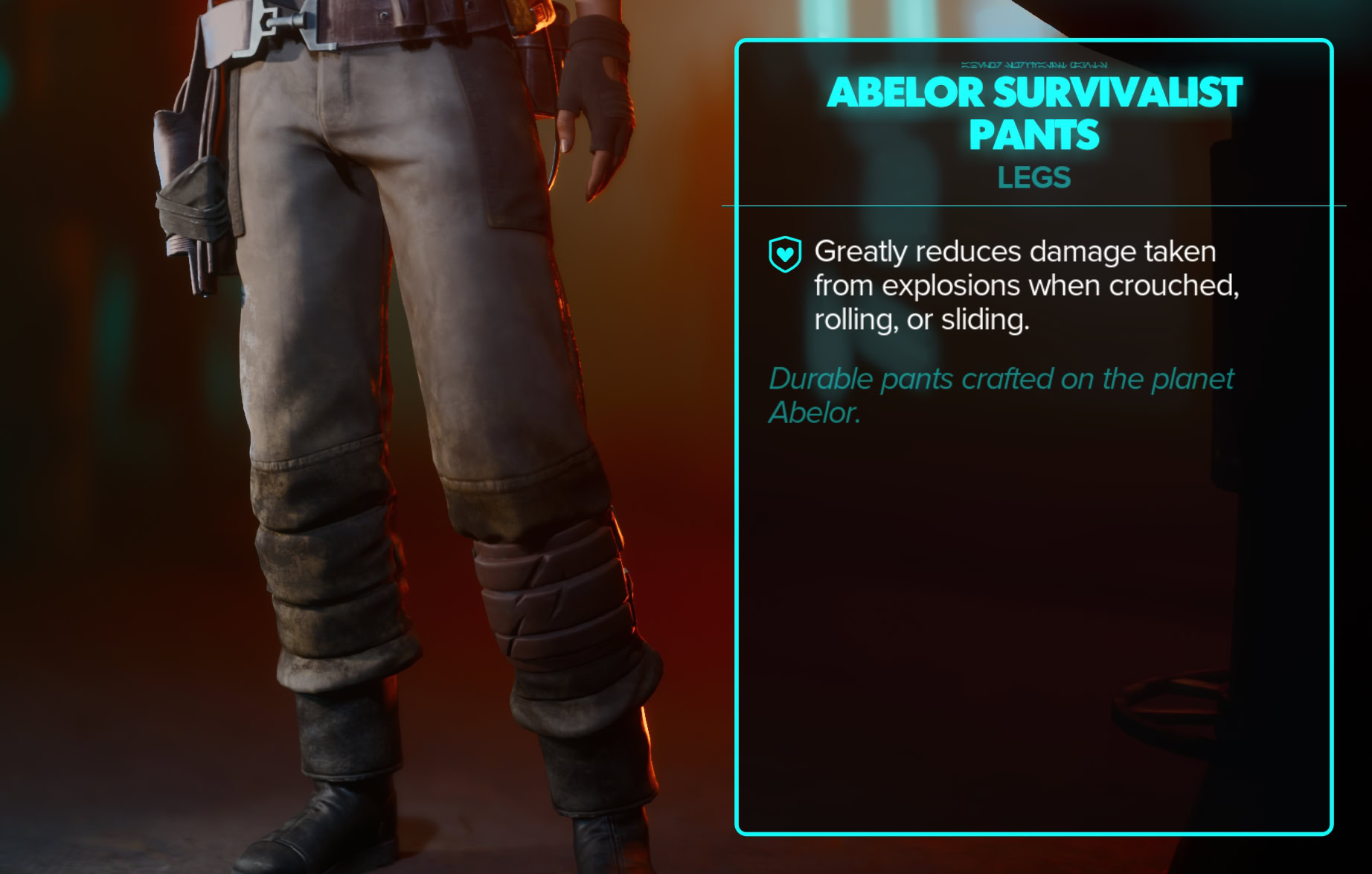 Abelor Survivalist Stats and Close-ups - Pants