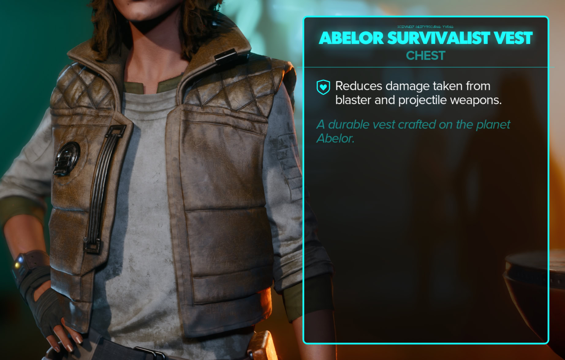 Abelor Survivalist Stats and Close-ups - Jacket