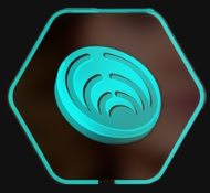 Ashiga Clan Crest Icon