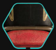 Crimson Reign Paint Job Icon