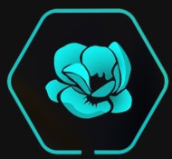  Jarwal Bloom