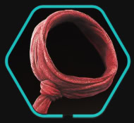 Red Scarf Icon